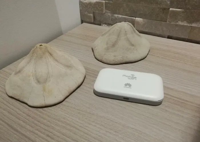 A Casa Di Zia Caterina *